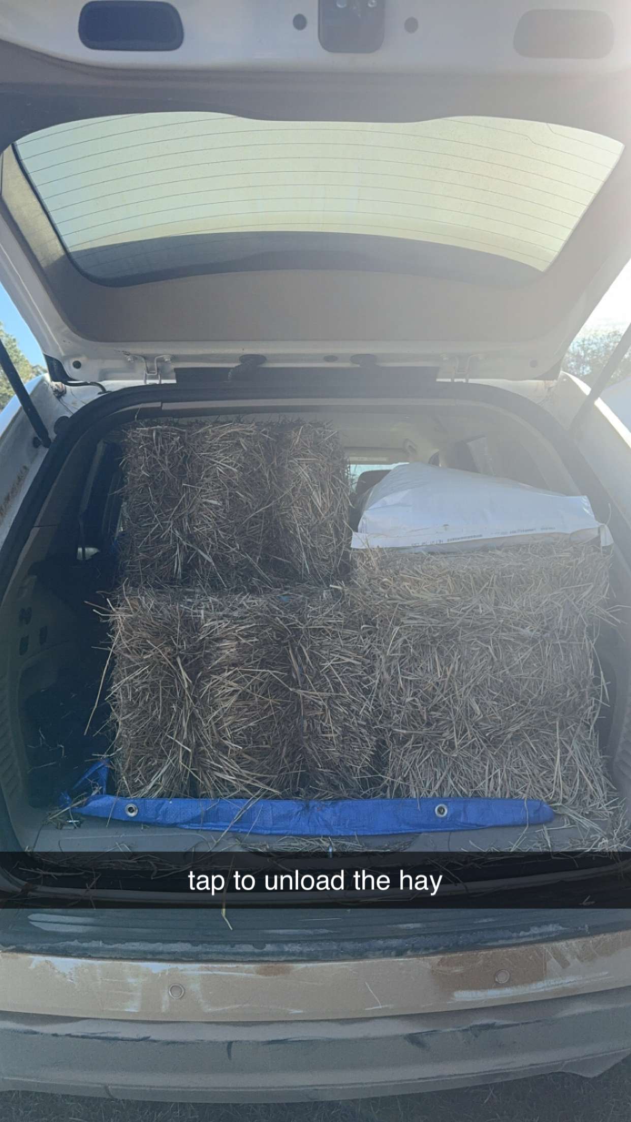 mckinley_1 snapchat image archive image