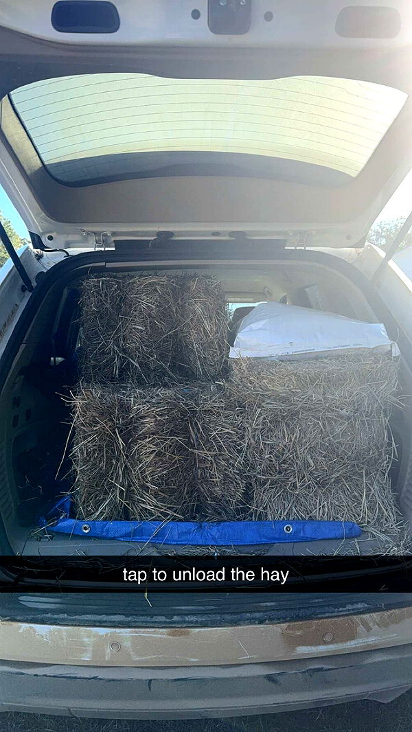 mckinley_1 image ~ Altpins