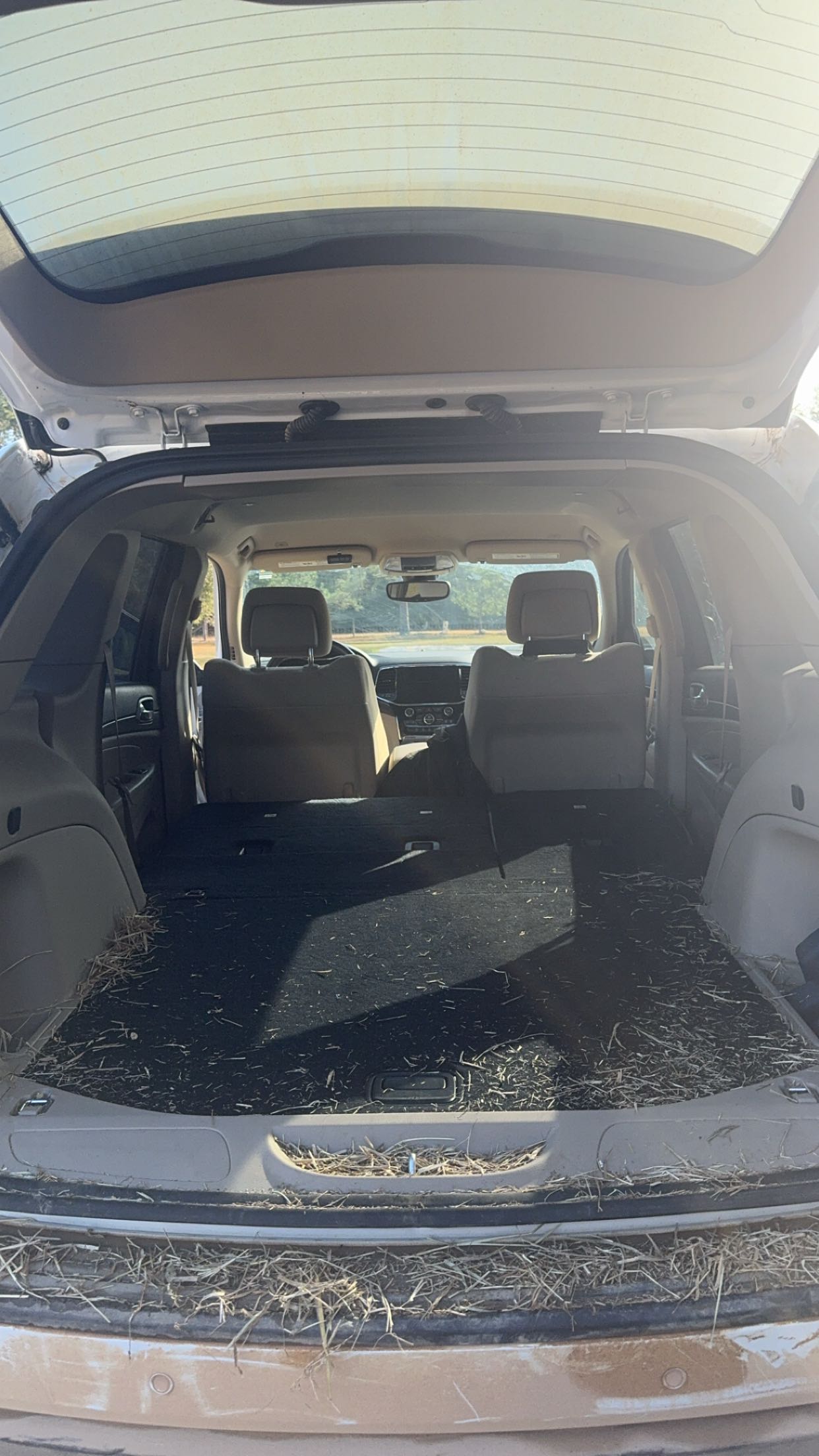 mckinley_1 snapchat image archive image