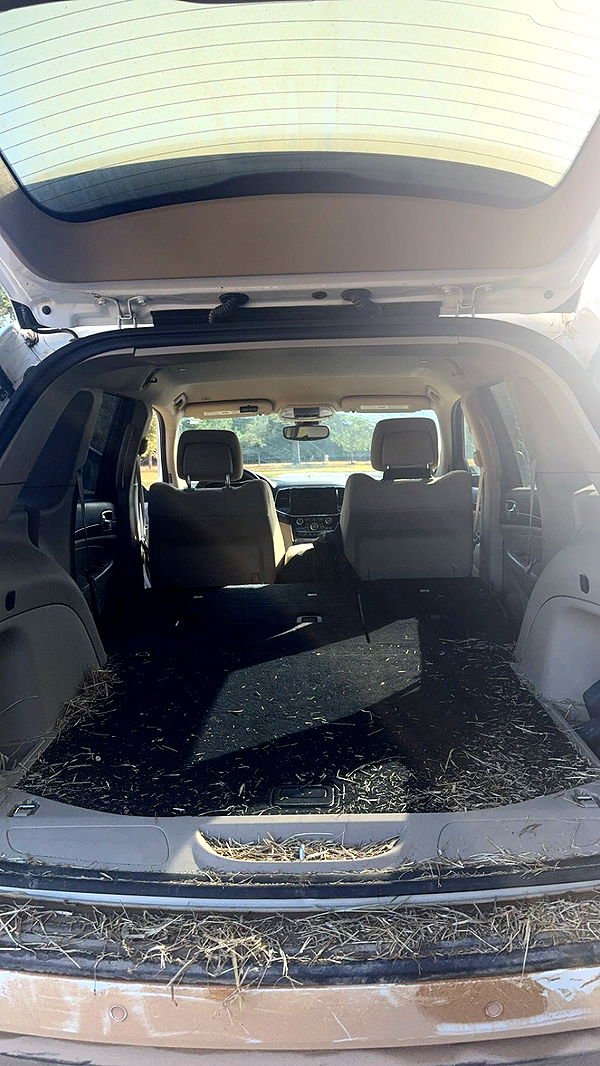 mckinley_1 image ~ Altpins