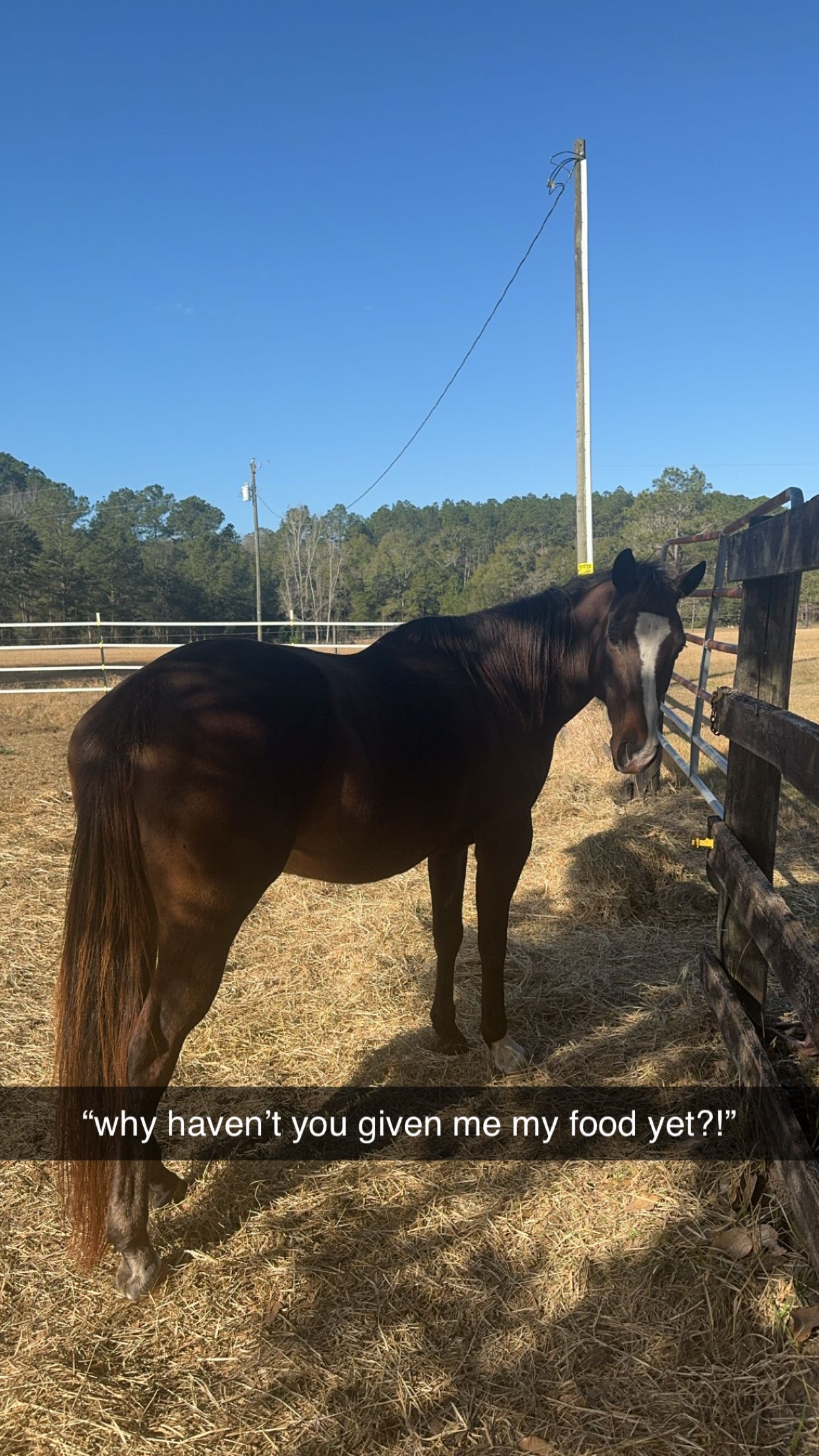 mckinley_1 snapchat image archive image