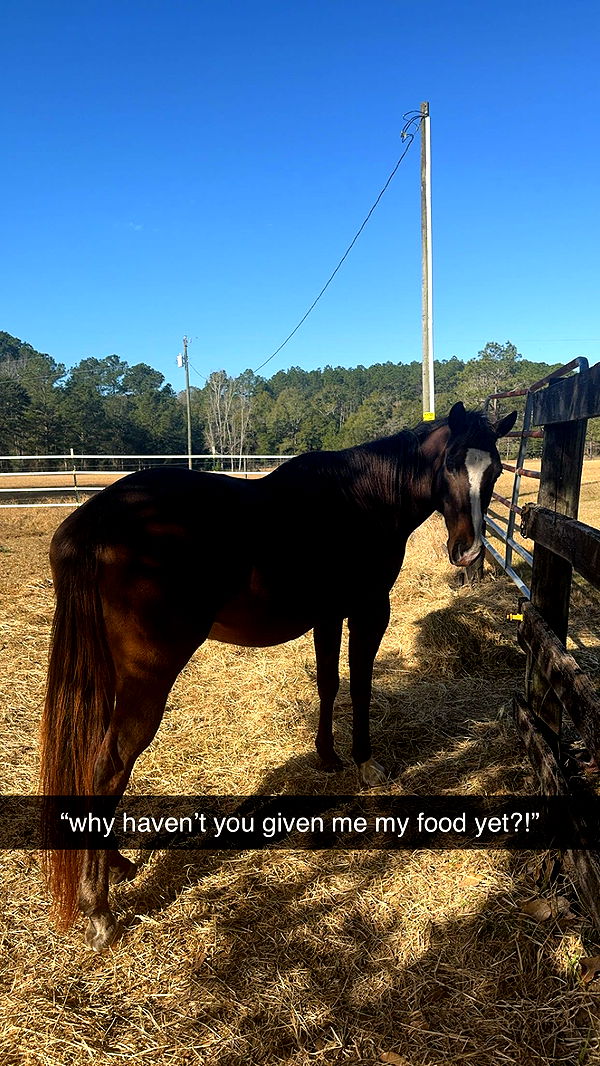 mckinley_1 image ~ Altpins