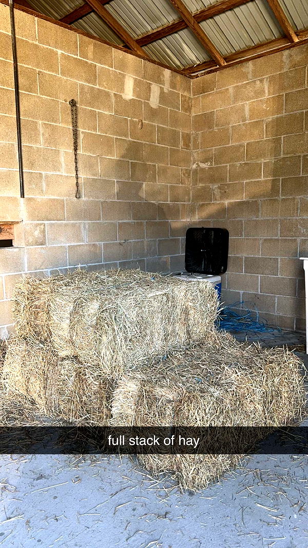 mckinley_1 image ~ Altpins