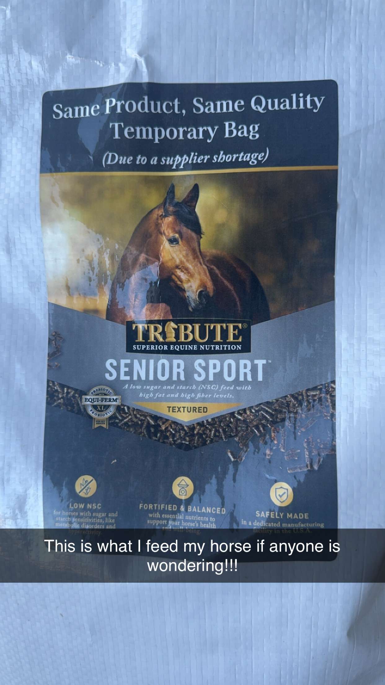 mckinley_1 snapchat image archive image