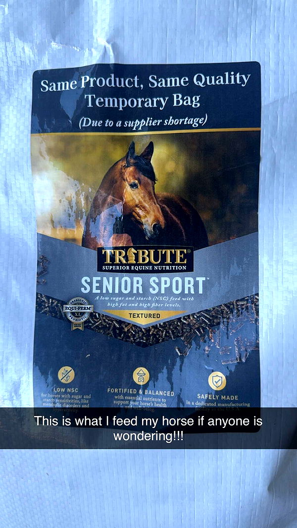 mckinley_1 image ~ Altpins