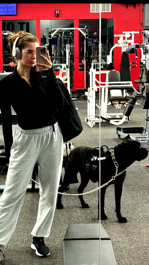 mckinley_1 image ~ Altpins