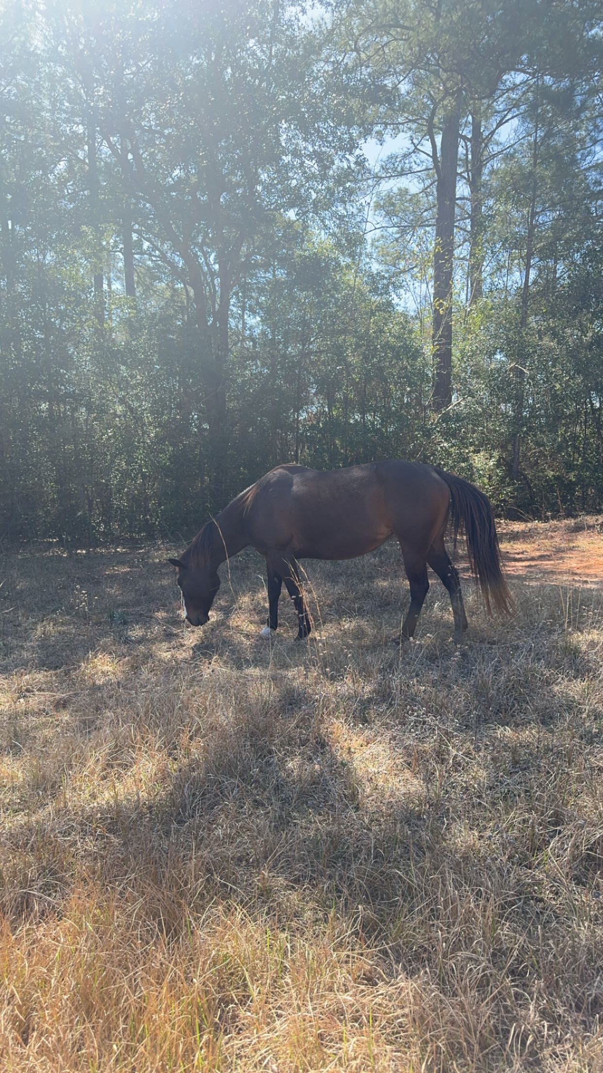 mckinley_1 snapchat image archive image