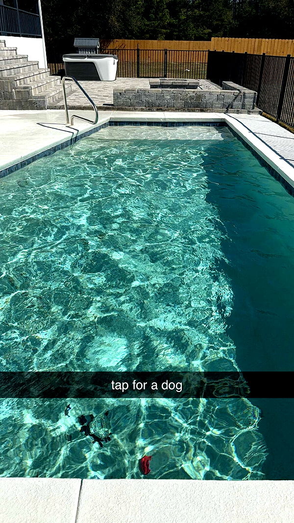 mckinley_1 image ~ Altpins