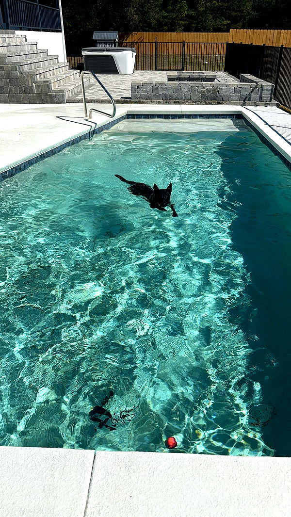 mckinley_1 image ~ Altpins