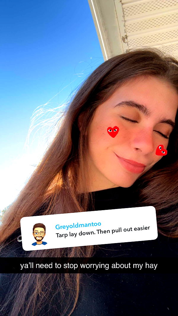 mckinley_1 image ~ Altpins