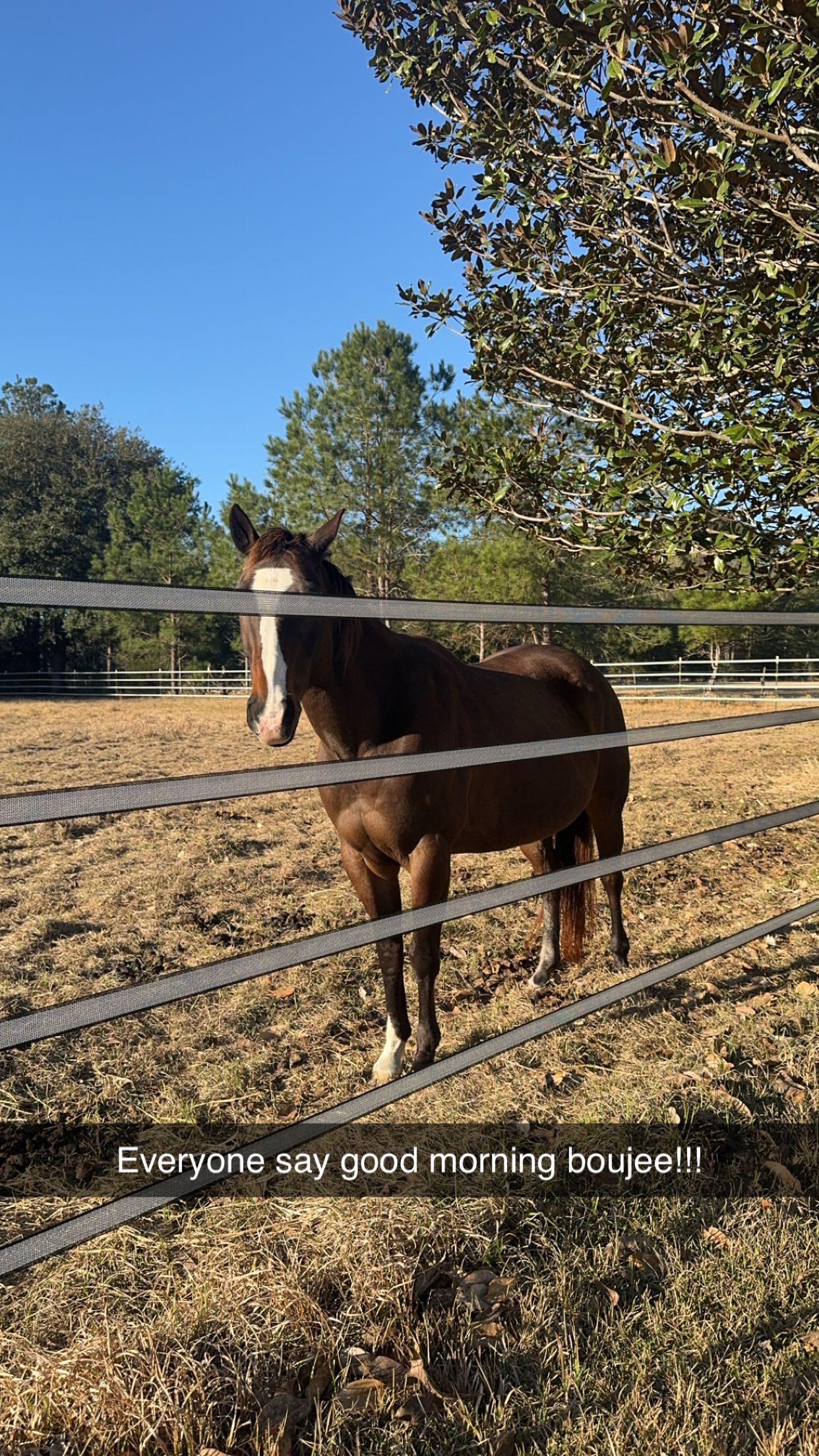 mckinley_1 snapchat image archive image