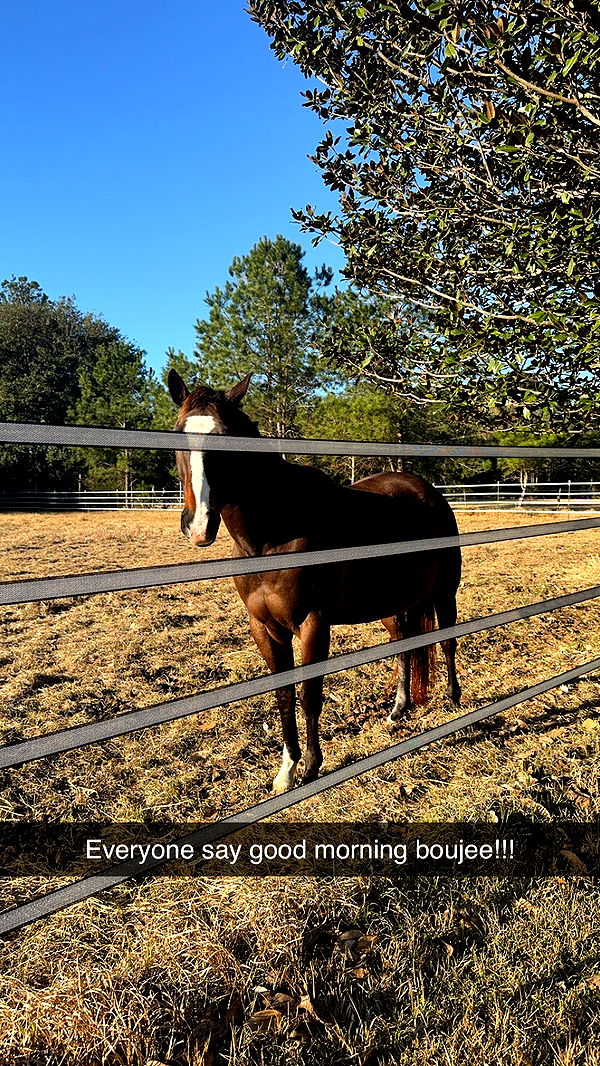 mckinley_1 image ~ Altpins