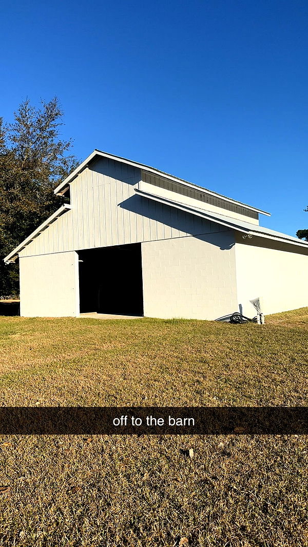 mckinley_1 image ~ Altpins