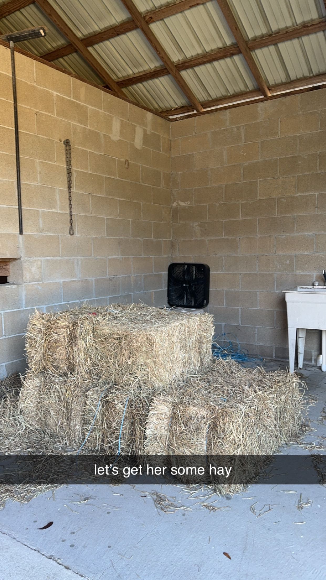 mckinley_1 snapchat image archive image