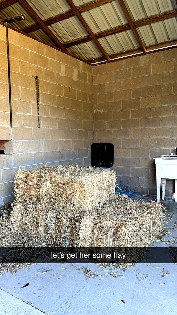 mckinley_1 image ~ Altpins