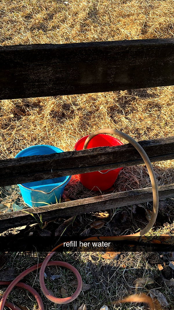 mckinley_1 image ~ Altpins