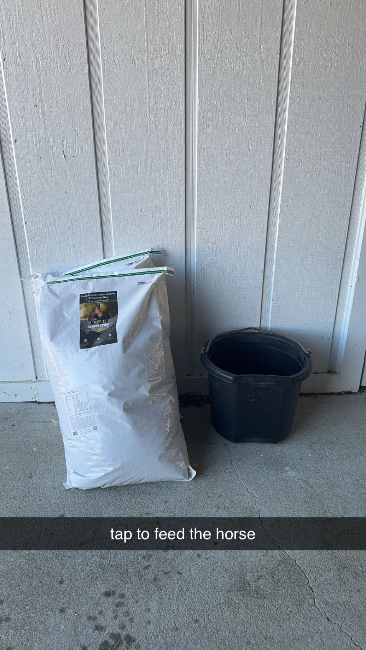 mckinley_1 snapchat image archive image