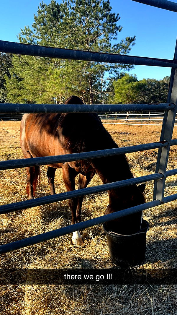 mckinley_1 image ~ Altpins