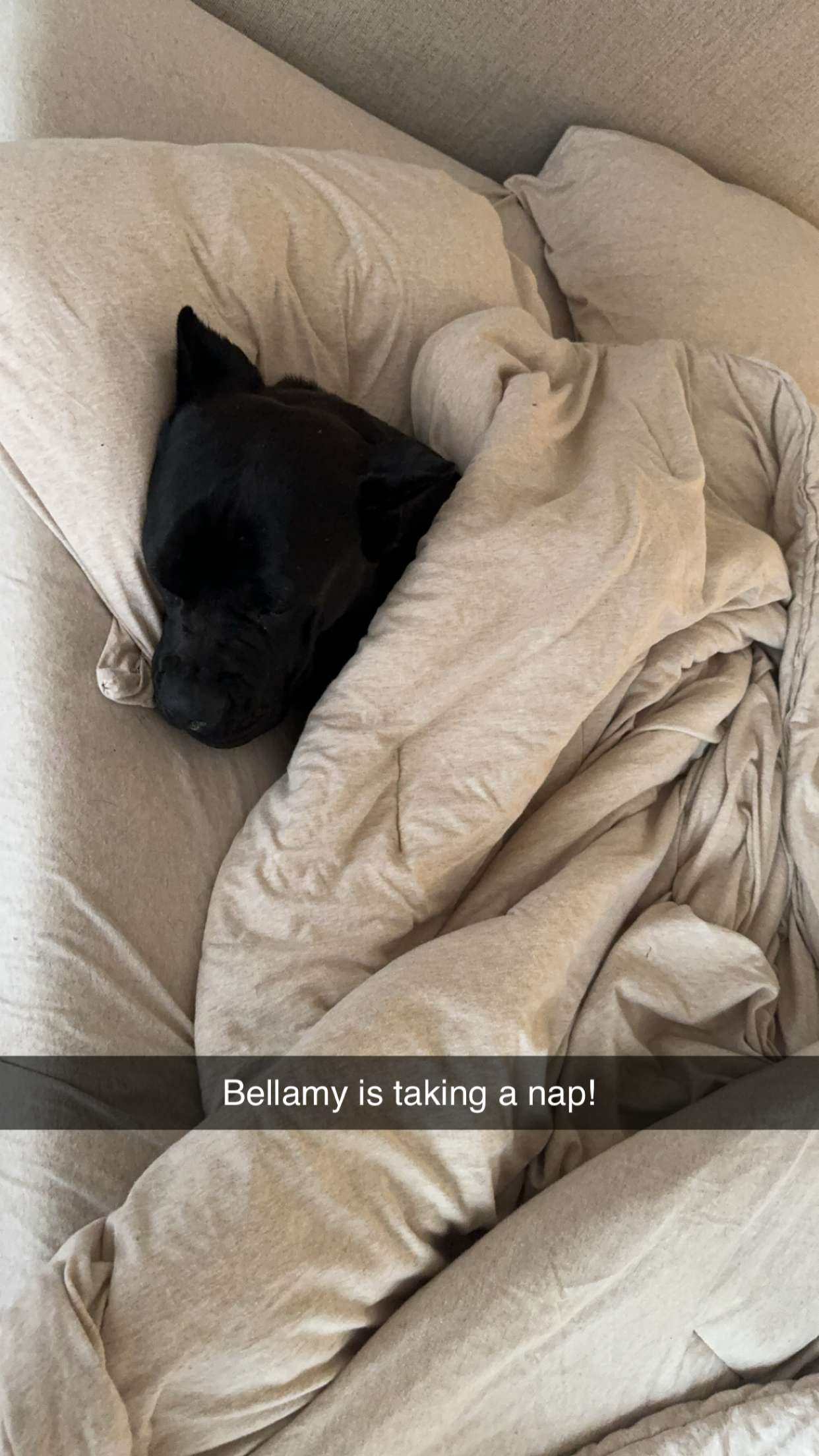 mckinley_1 snapchat image archive image