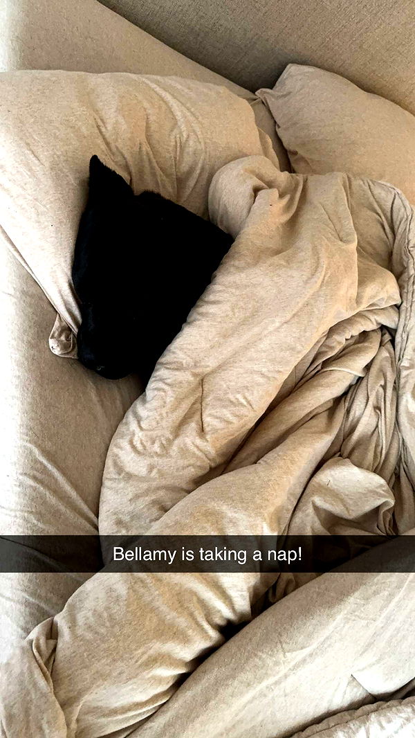 mckinley_1 image ~ Altpins