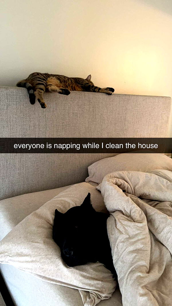 mckinley_1 image ~ Altpins