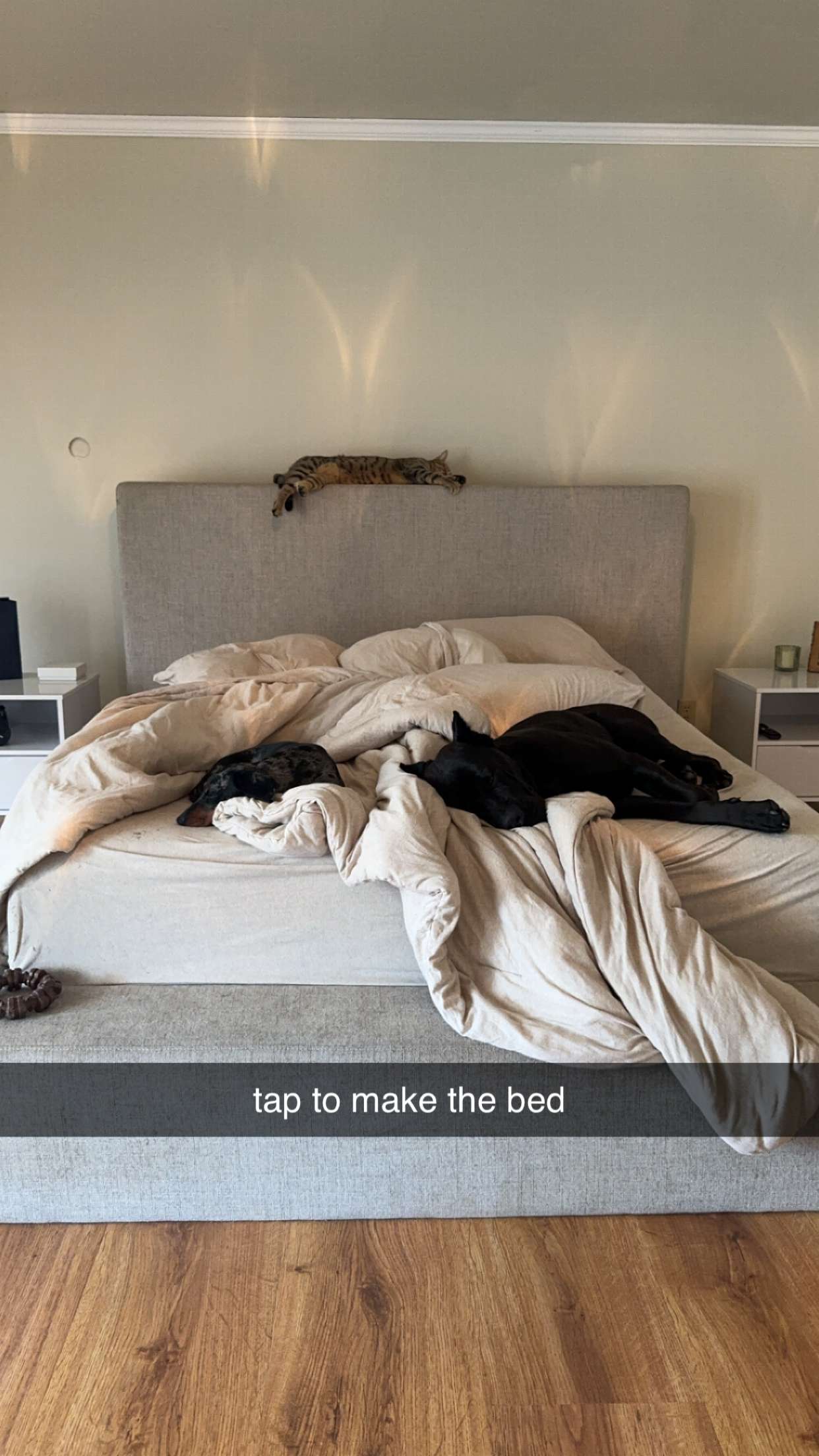 mckinley_1 snapchat image archive image