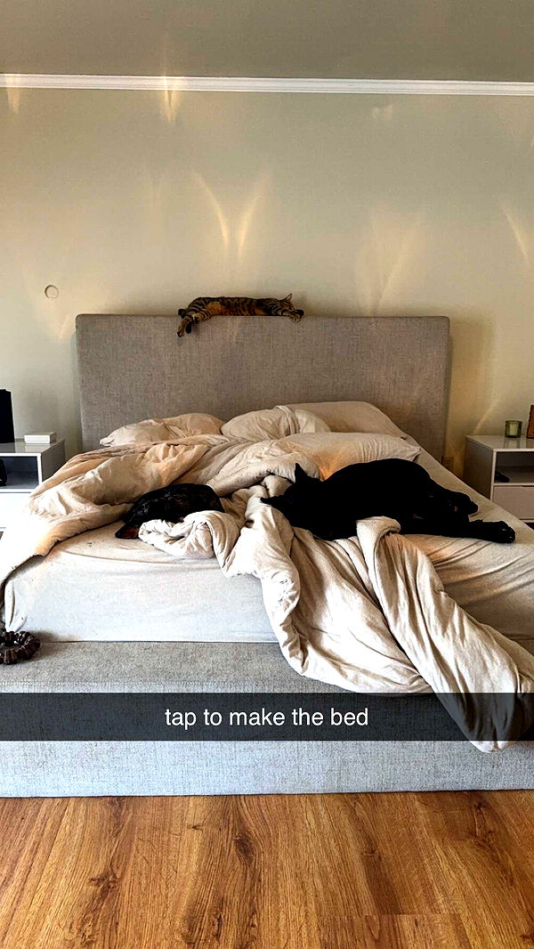 mckinley_1 image ~ Altpins