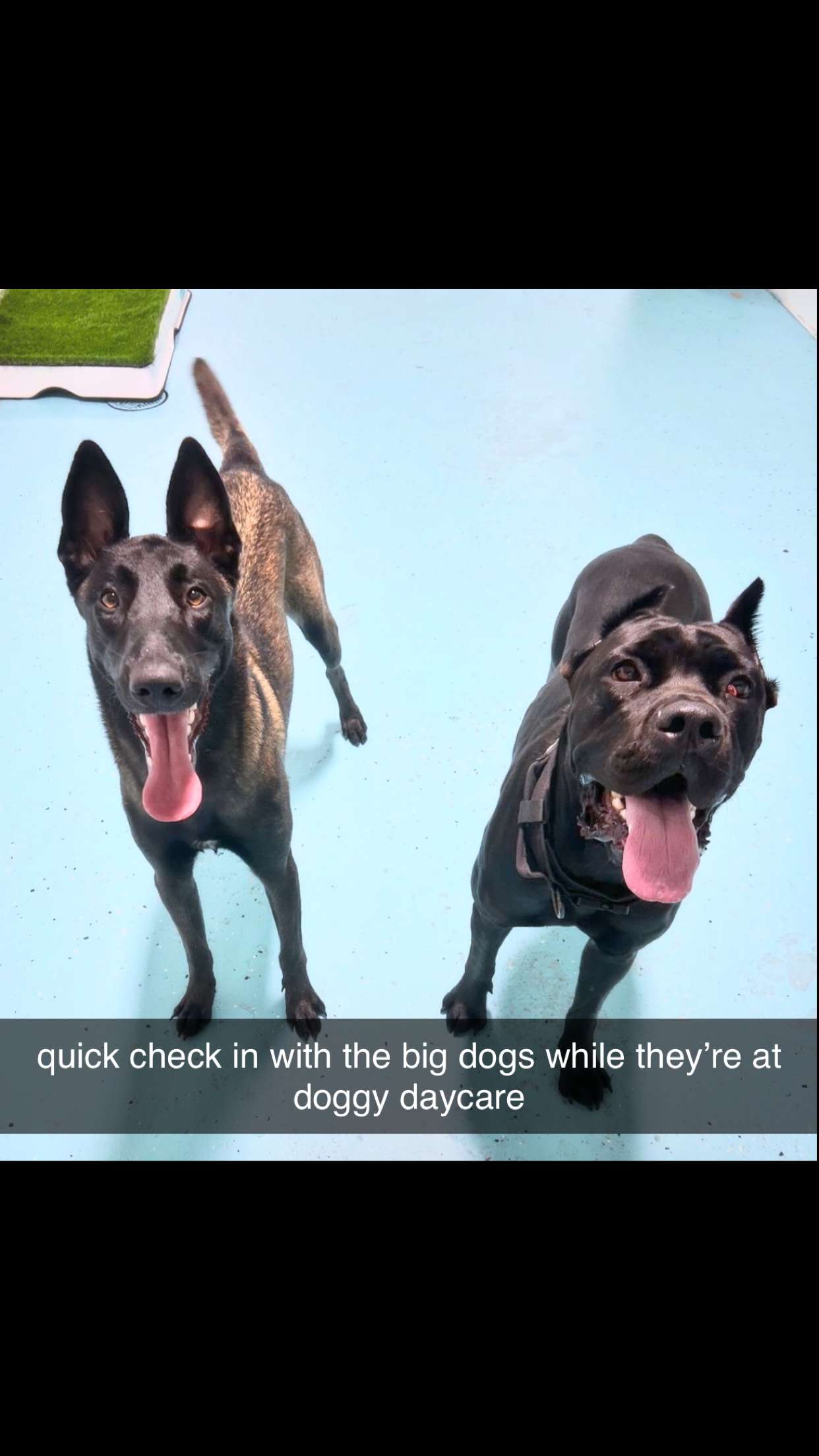 mckinley_1 snapchat image archive image