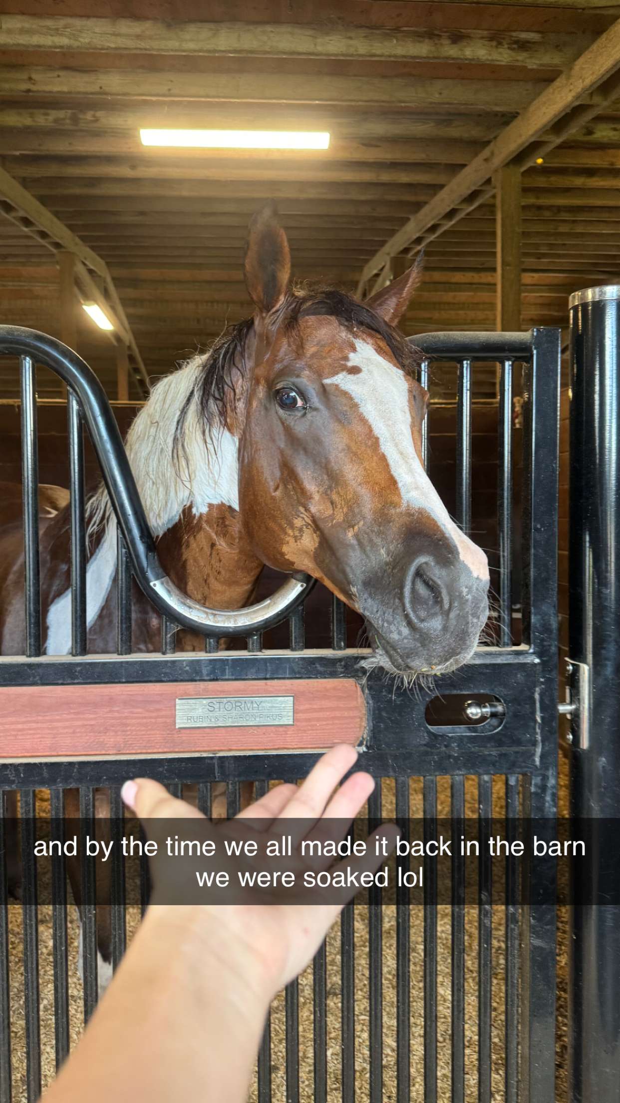 mckinley_1 snapchat image archive image