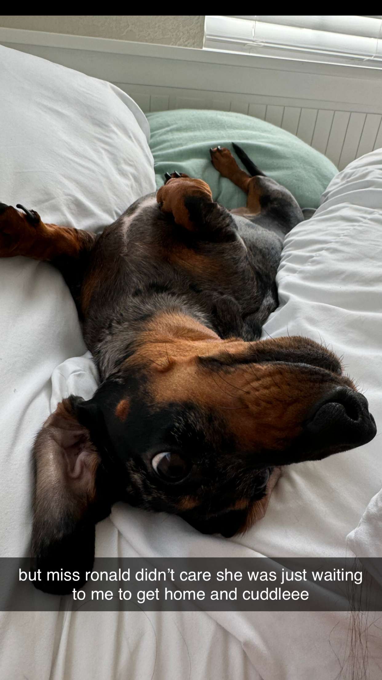 mckinley_1 snapchat image archive image