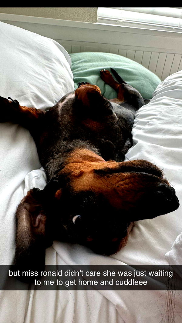 mckinley_1 image ~ Altpins