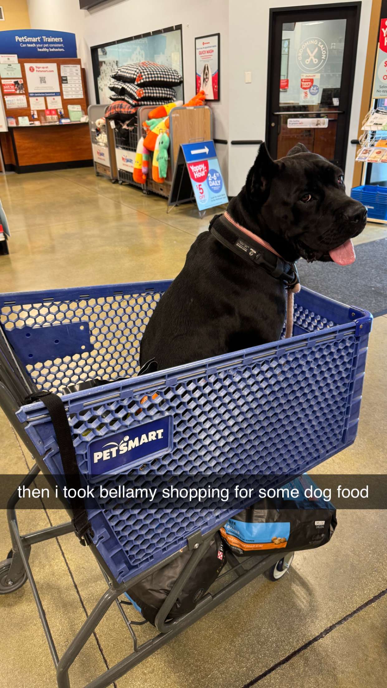 mckinley_1 snapchat image archive image