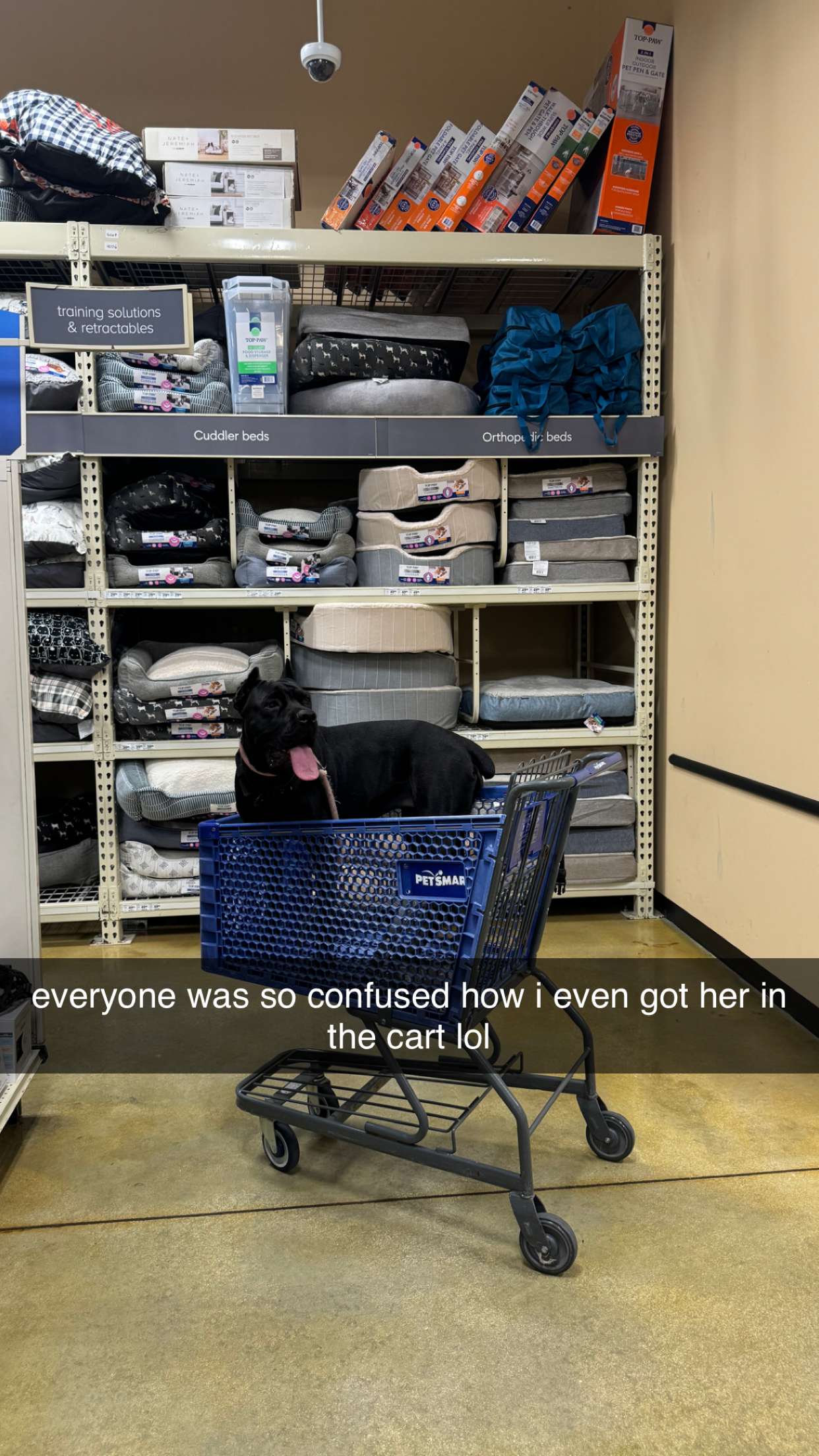 mckinley_1 snapchat image archive image