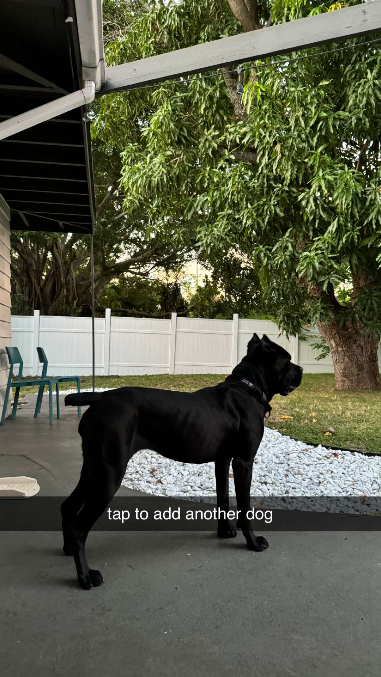 mckinley_1 snapchat image archive image