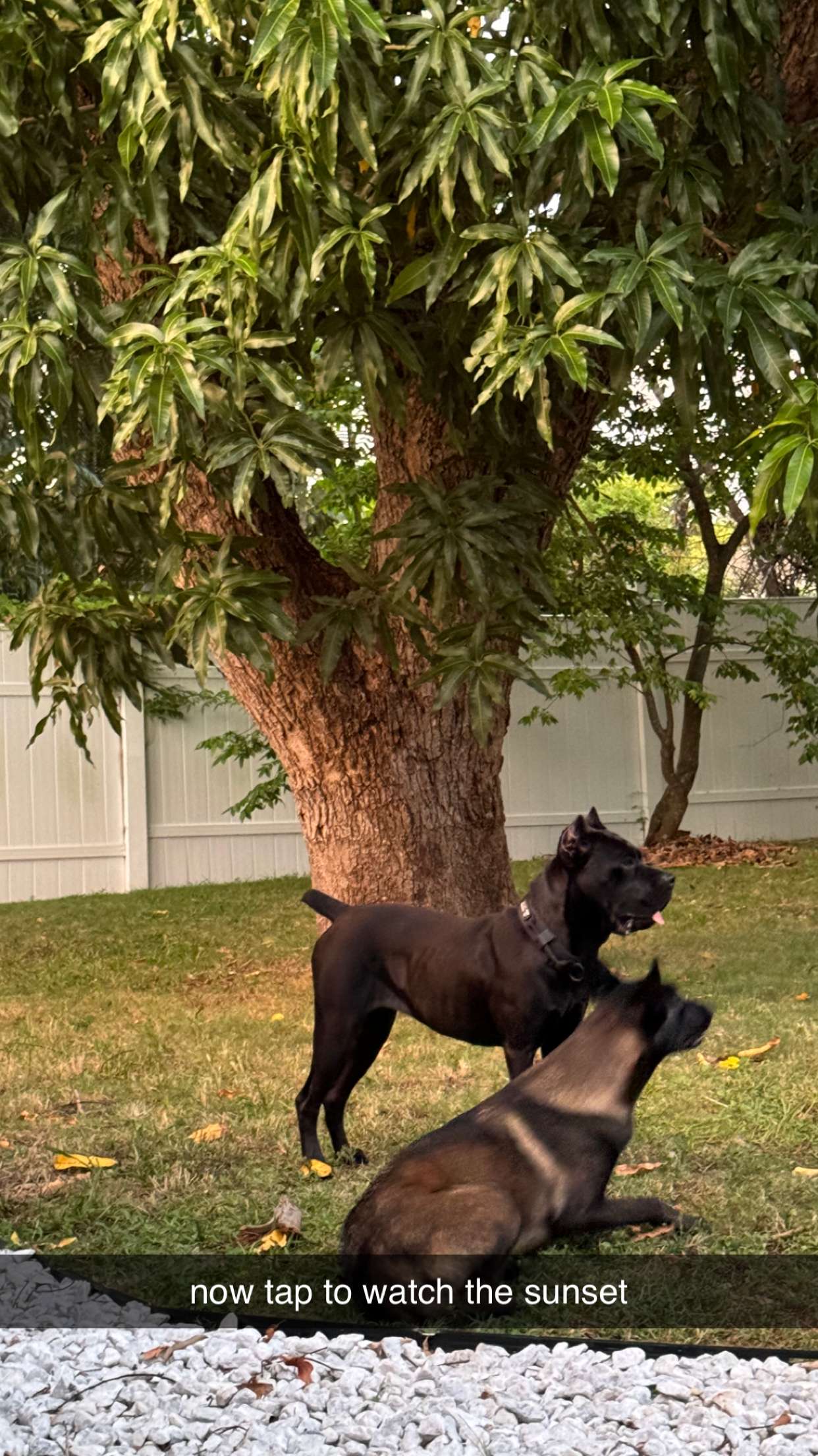 mckinley_1 snapchat image archive image