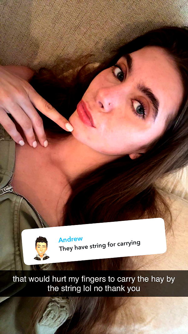 mckinley_1 image ~ Altpins