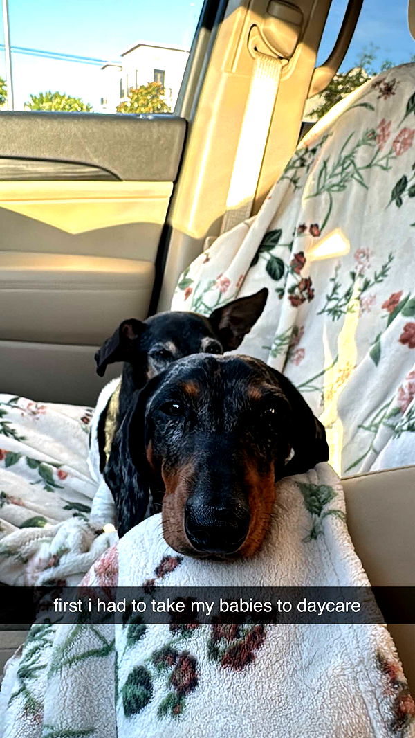 mckinley_1 image ~ Altpins