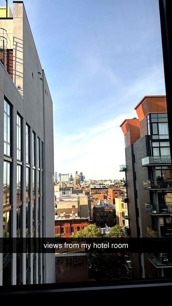 mckinley_1 image ~ Altpins