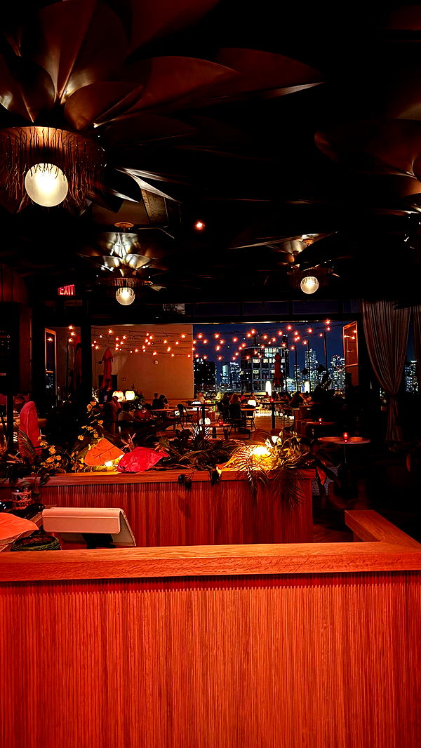 mckinley_1 image ~ Altpins