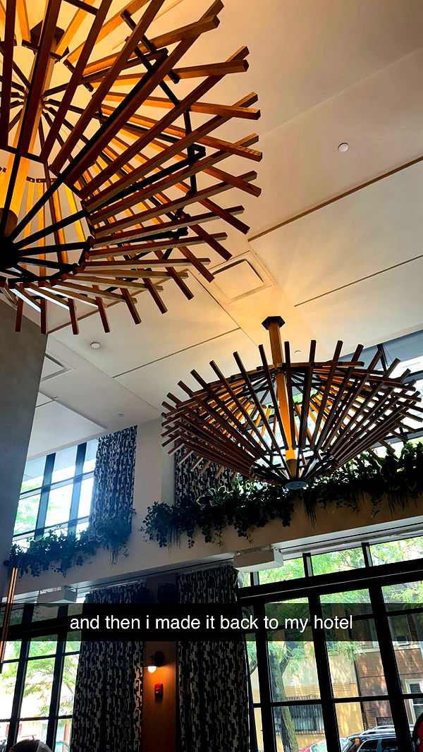 mckinley_1 image ~ Altpins