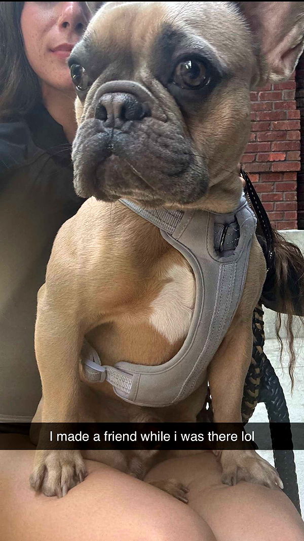 mckinley_1 image ~ Altpins