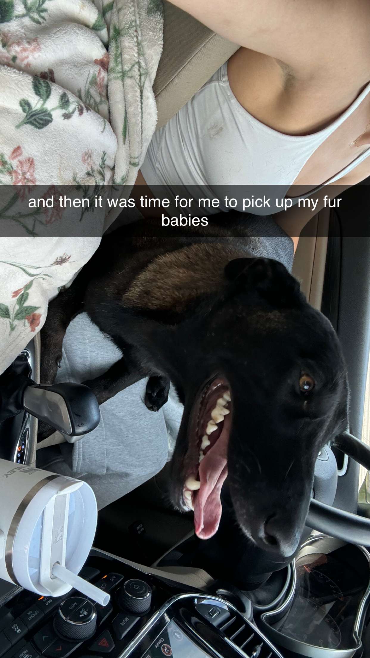 mckinley_1 snapchat image archive image