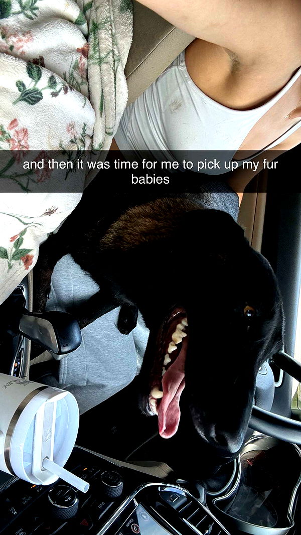 mckinley_1 image ~ Altpins