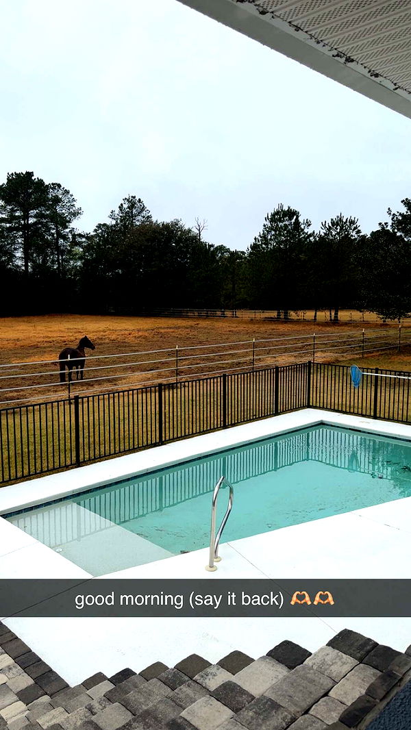 mckinley_1 image ~ Altpins