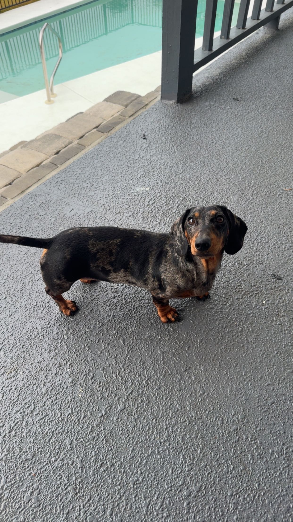 mckinley_1 snapchat image archive image