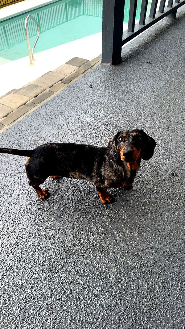 mckinley_1 image ~ Altpins