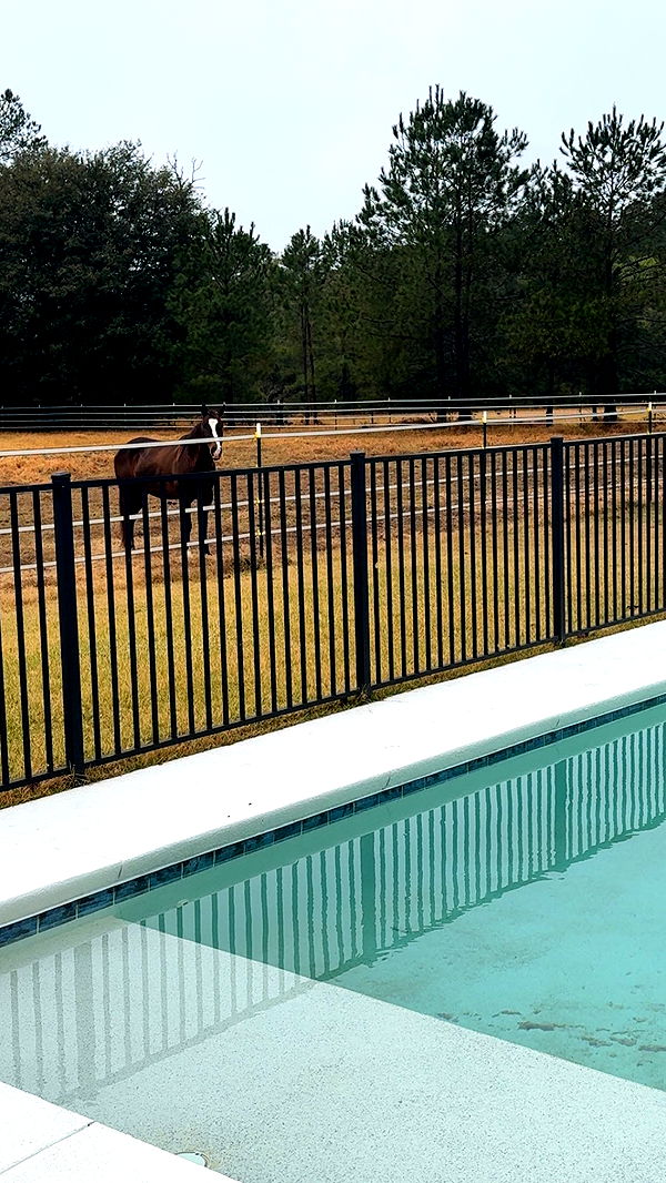 mckinley_1 image ~ Altpins