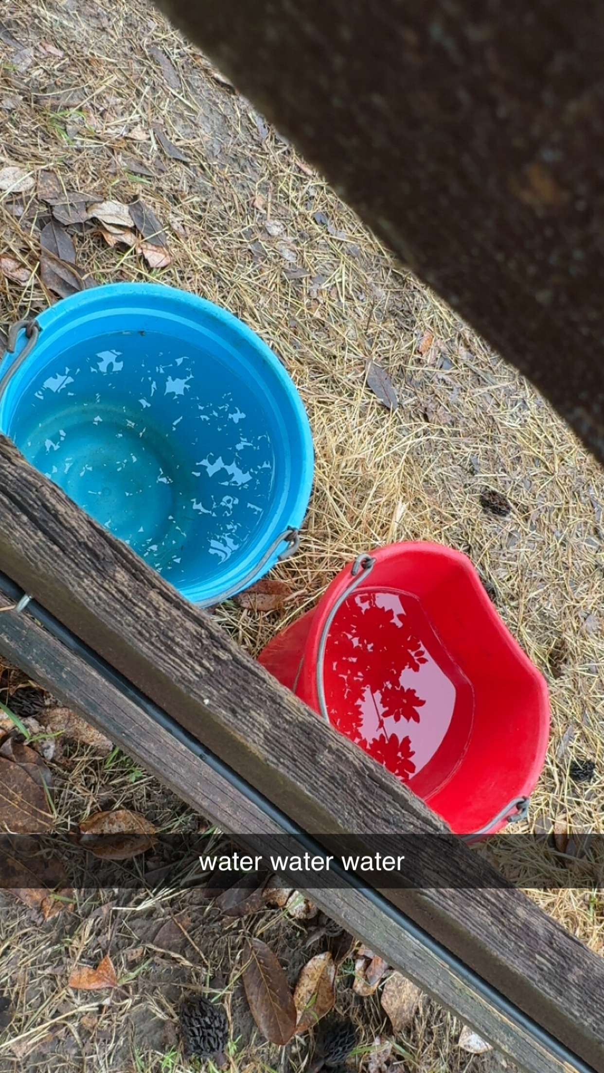 mckinley_1 snapchat image archive image