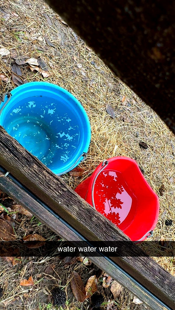 mckinley_1 image ~ Altpins