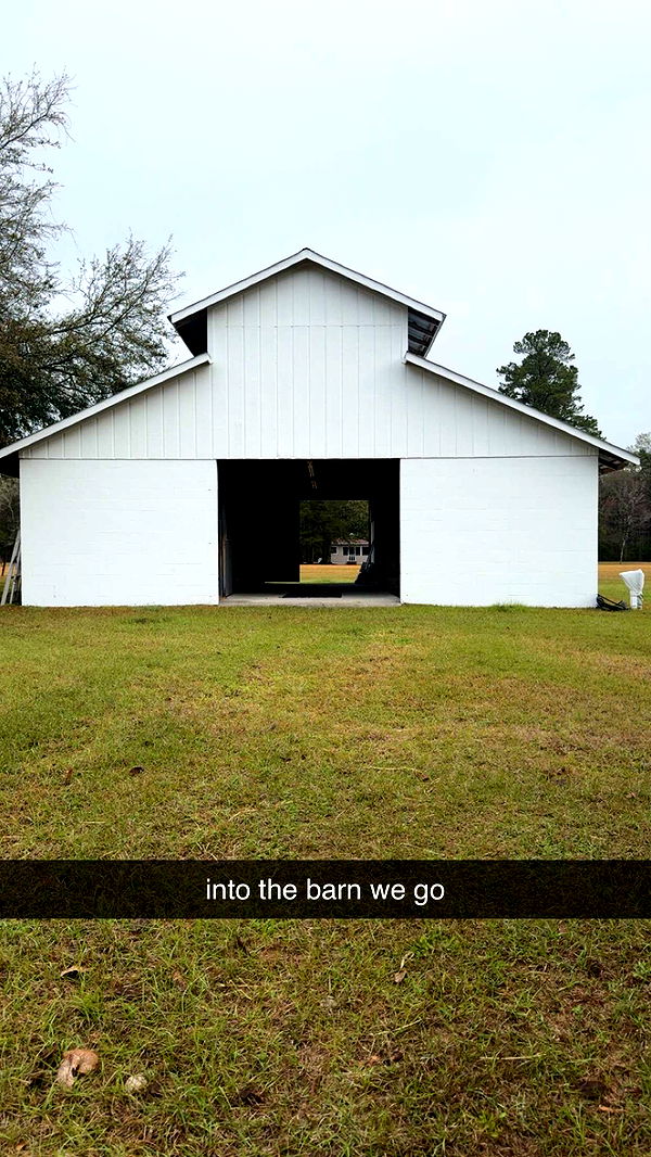 mckinley_1 image ~ Altpins